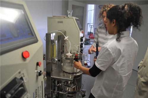 Glass fermenter (in situ sterilization vertical magnetic stirring)